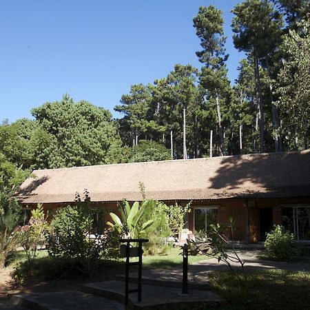 Hotel Lodge Au Bois Vert Antananarivo International Airport Ivato 외부 사진